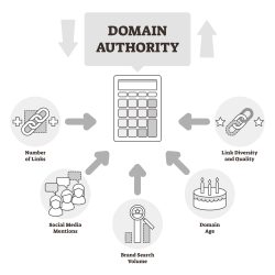 How To Check Authority of A Website