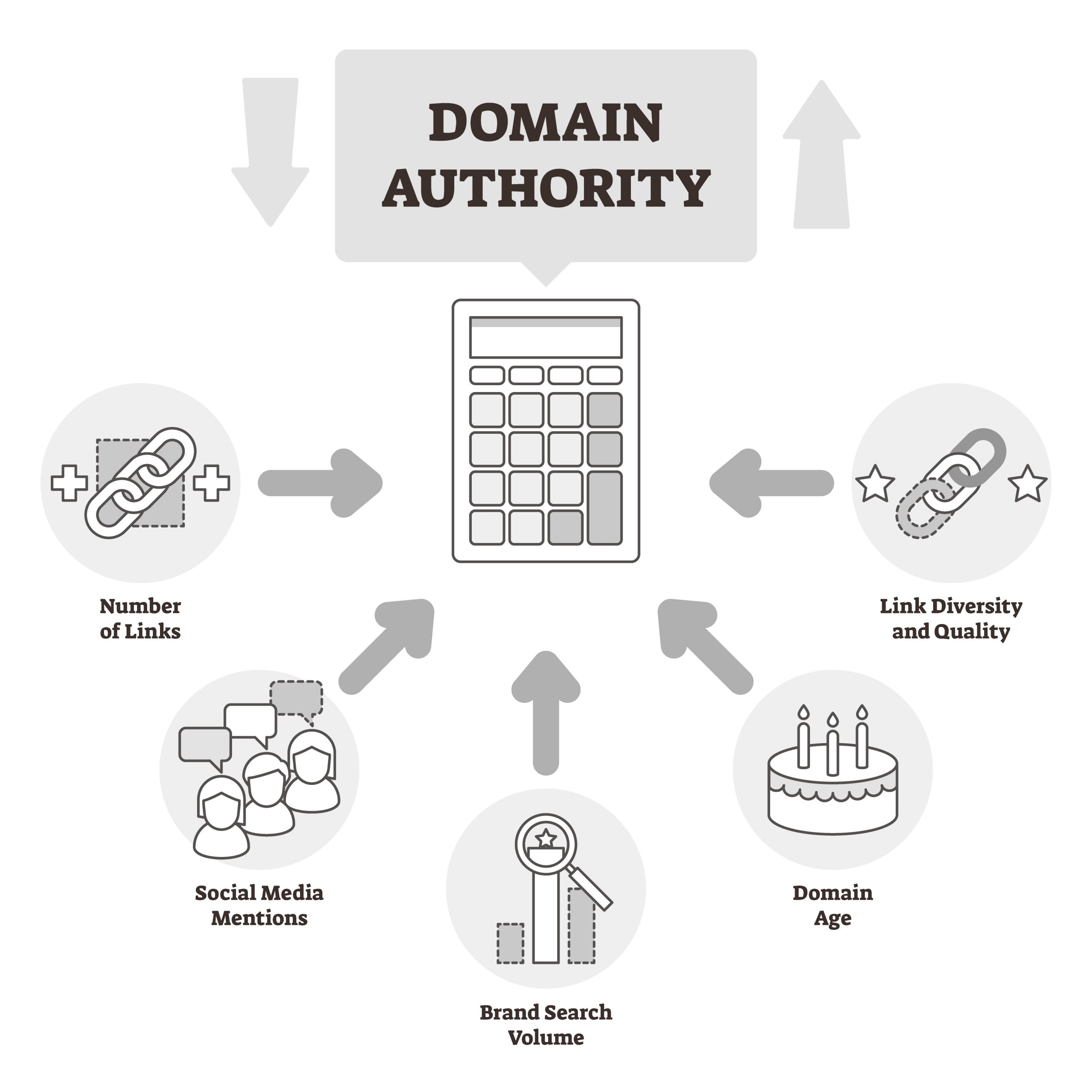Check Your Domain Authority