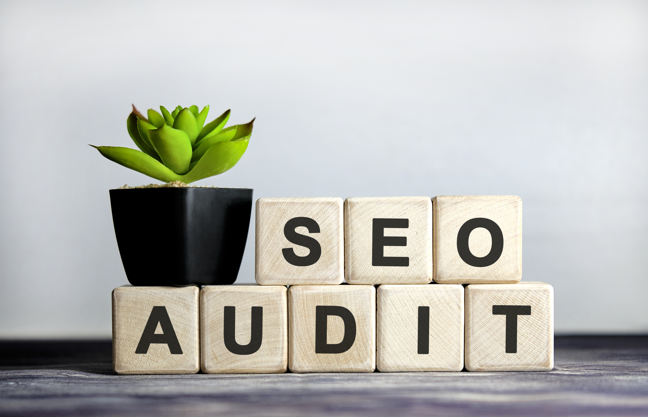 SEO Audit